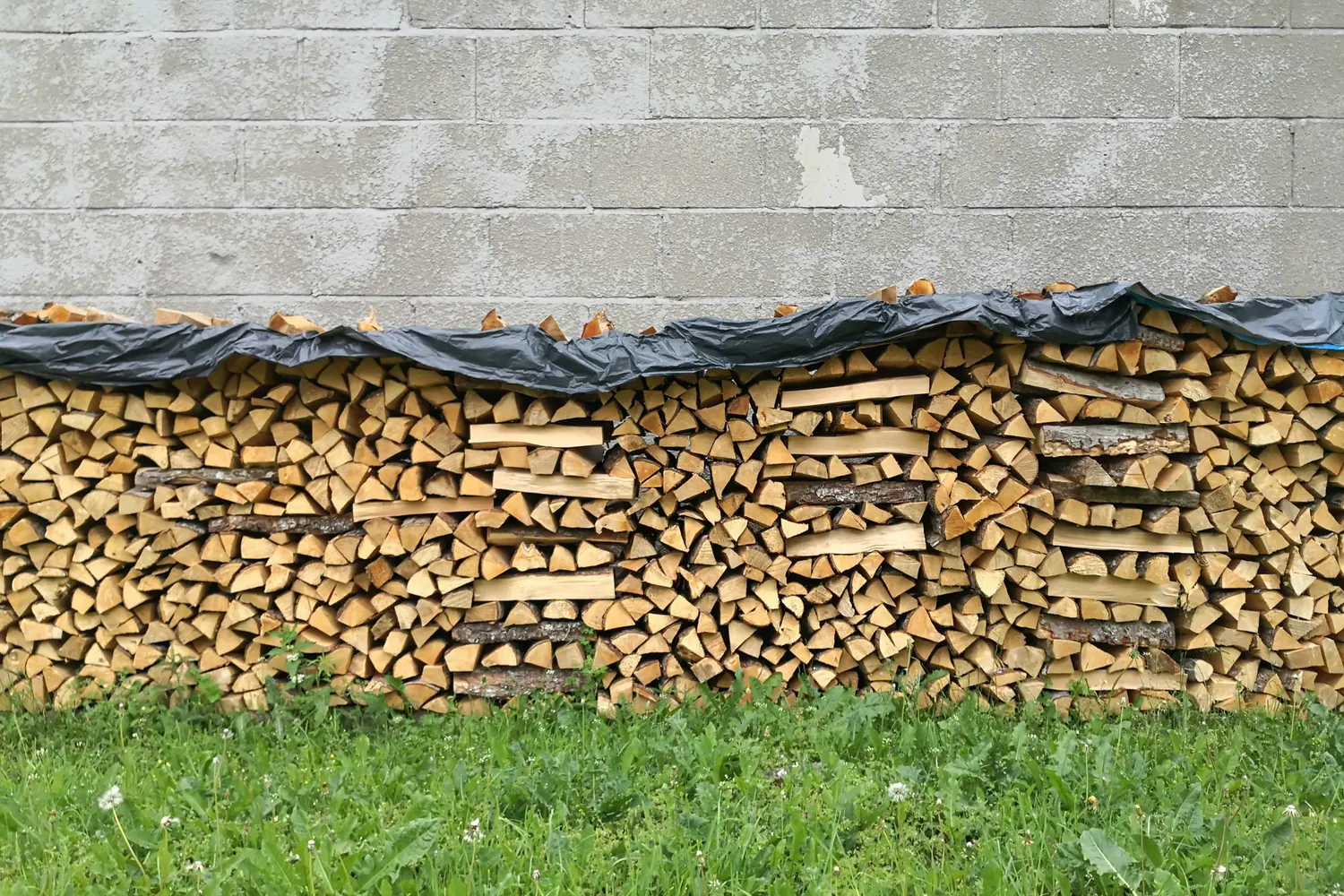 Stivă lungă de lemne de foc acoperită în partea de sus, lângă un zid exterior